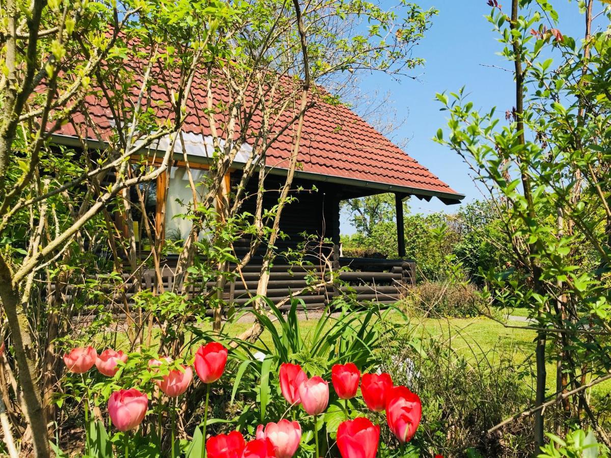 Eifel-Lounge Blockhaus Mit Kamin Garten Balkon Nahe Koeln Therme Bruehl Phantasialand Weilerswist Exterior photo
